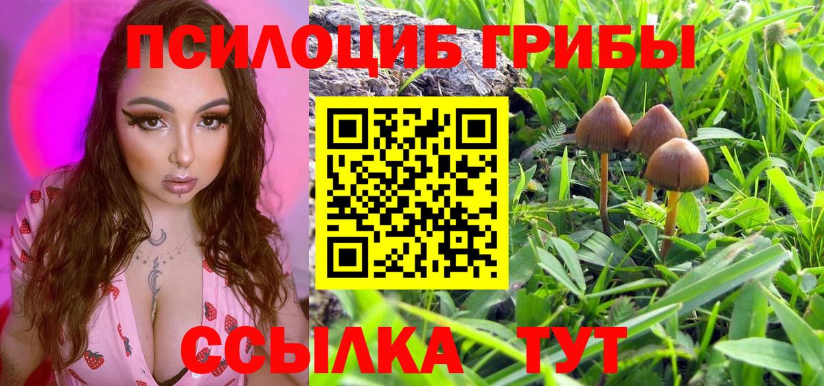 Ковров  Галлюциногенные грибы ЛСД  наркота  Вход с VPN 